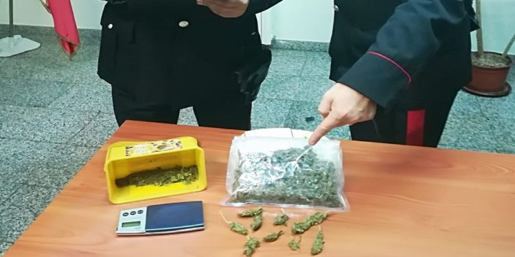 Floridia. Bilancino e 107 grammi di marijuana nel capanno degli attrezzi: arrestato un 46enne