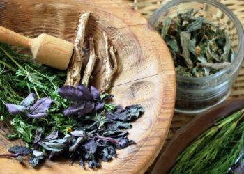 Siracusa. Corsi di erboristeria e fitoterapia alla Biblioteca Santa Lucia