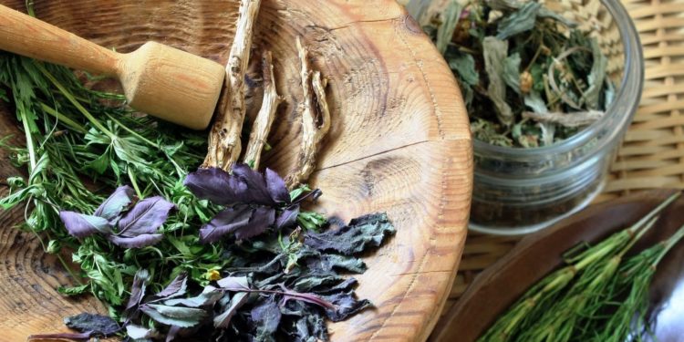 Siracusa. Corsi di erboristeria e fitoterapia alla Biblioteca Santa Lucia