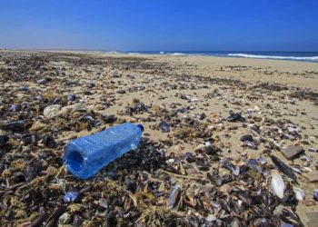 Pachino si libera dalla plastica, il sindaco Bruno: “una rivoluzione ecologica”