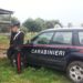 Rosolini, i Carabinieri liberano 13 cani prigionieri del padrone spacciatore