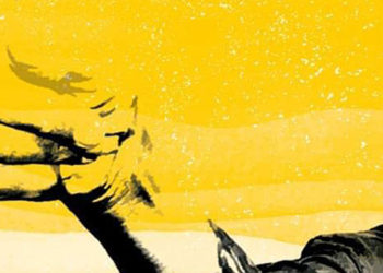 copertina-il-mio-mare Enzo Maiorca