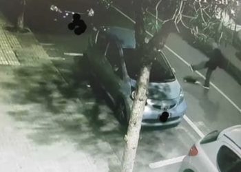 Siracusa. Gatto ucciso a calci nel centro di Ortigia