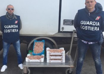 Siracusa, trasportava oltre 30 chili di pesce non registrato: multato dalla Guardia Costiera