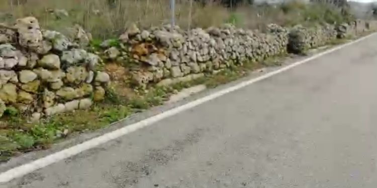 Noto. Morte centuaro, la madre: “non si può morire travolti da una mucca”