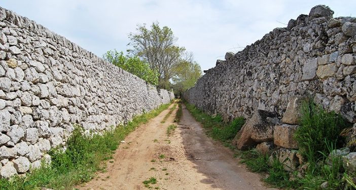 L’Unesco dichiara i muretti a secco patrimonio dell’Umanità. Coldiretti: “una tutela contro il dissesto”