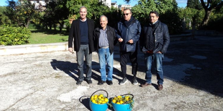 Siracusa. Gli agrumi di Villa Reimann donati alle persone bisognose
