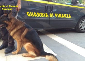 Siracusa. Finanzieri con il cane antidroga “Aquy”, sequestrano stupefacenti e contanti
