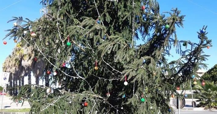Siracusa. In via Cannizzo un albero di Natale che porta il nome di Renzo