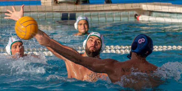 Siracusa. Pallanuoto, il C.C. Ortigia vince contro il Trieste. Piccardo: “grande prova dei ragazzi”