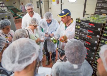 Sciolto per Mafia il Comune, l’appello del Consorzio del Pomodoro di Pachino IGP