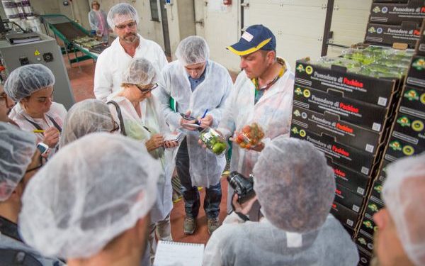 Sciolto per Mafia il Comune, l’appello del Consorzio del Pomodoro di Pachino IGP