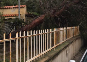 Siracusa e provincia sferzate dal vento. La Protezione Civile alla cittadinanza: “evitare gli spostamenti”