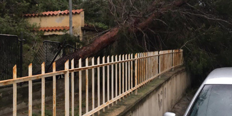 Siracusa e provincia sferzate dal vento. La Protezione Civile alla cittadinanza: “evitare gli spostamenti”