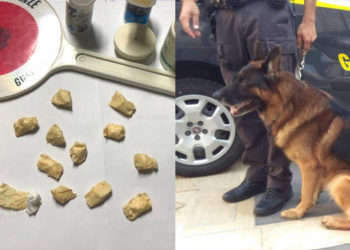 Siracusa, Fiamme Gialle in azione con cane antidroga: arrestato un pusher