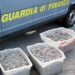 Augusta. Sequestrati 45 kg di novellame di sarda, elevata sanzione di 5 mila euro