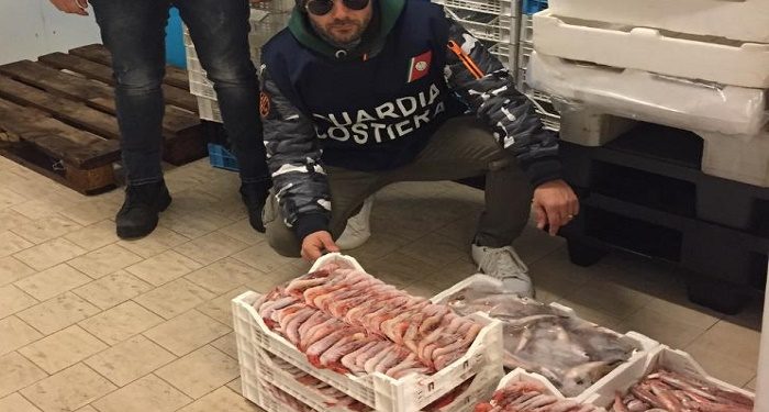 Portopalo di Capo Passero, gamberi e seppie congelate prive di tracciabilità