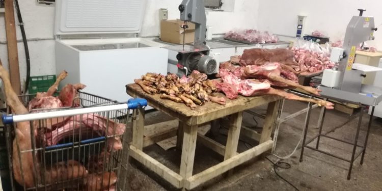 Siracusa. Macellano animali senza autorizzazioni sanitarie, denunciati due senegalesi