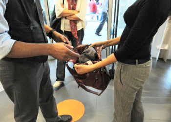 Siracusa. Rapina e furti ai danni di attività commerciali, arrestata una coppia