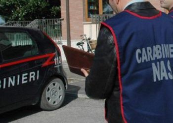 Portopalo di Capo Passero, latte privo di tracciabilità in un’azienda agricola