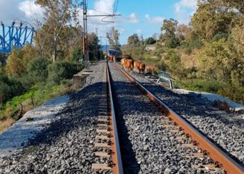 Siracusa, pericolo di disastro ferroviario: denunciati tre allevatori dalla Polfer