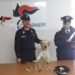 Pachino. Servizio antidroga Carabinieri, il cane “Ivan” rinviene dello stupefacente