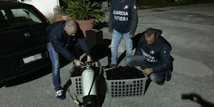 Noto. Pesca illecita di ricci di mare, sanzionati due pescatori sportivi subacquei