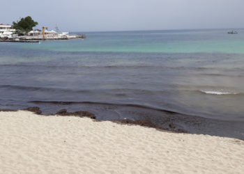 Siracusa, rimozione alghe sul litorale di Fontane Bianche. Buonomo: “c’è l’ok della Regione”