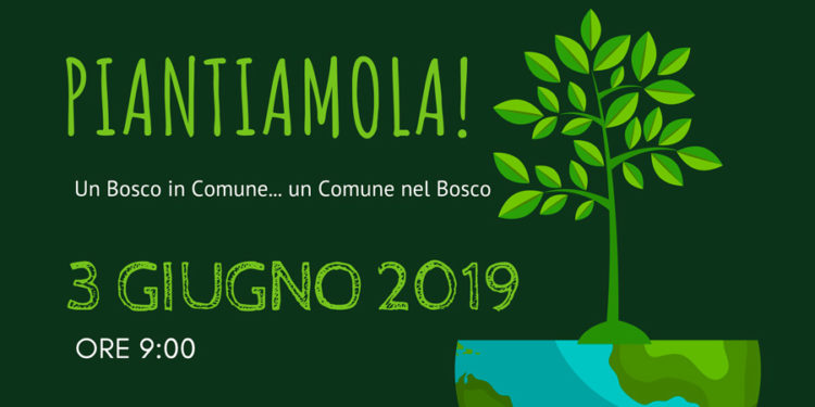 Siracusa, “Un bosco in Comune…un Comune nel bosco”: il progetto di forestazione urbana lunedì all’Urban Center