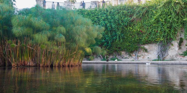 Siracusa. Presentato il progetto di valorizzazione della Fonte Aretusa