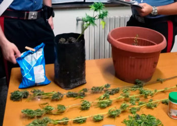 Floridia, coltivava marijuana in casa: 46enne arrestato dai Carabinieri