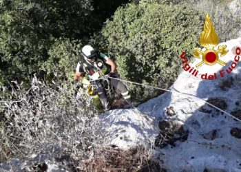 Palazzolo Acreide. Cane caduto in un burrone, salvato dai Vigili del Fuoco