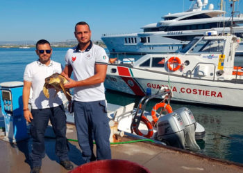 Siracusa, la Guardia Costiera recupera un esemplare di tartaruga Caretta Caretta ad oltre un miglio da Capo Murro di Porco