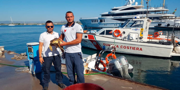 Siracusa, la Guardia Costiera recupera un esemplare di tartaruga Caretta Caretta ad oltre un miglio da Capo Murro di Porco