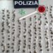 Siracusa. Cocaina e marijuana nascoste dentro lo zaino, arrestato un 35enne