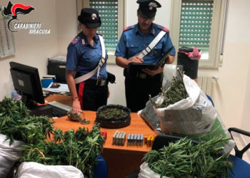 Carlentini, nascondeva 3 kg di marijuana, piantine di canapa e munizioni non dichiarate: arrestato