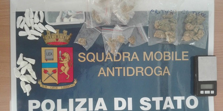 Carlentini, i Carabinieri scoprono una piantagione di canapa indiana: distrutte 47 piante