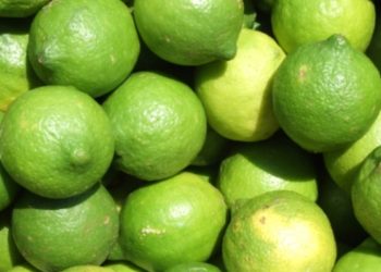 Noto. Sorpresi a rubare limoni da un terreno agricolo: ai domiciliari due uomini