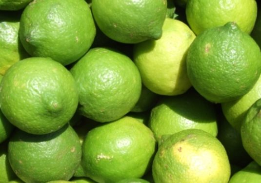 Noto. Sorpresi a rubare limoni da un terreno agricolo: ai domiciliari due uomini