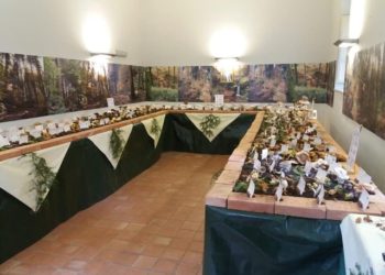 A Buccheri grande affluenza di visitatori per la manifestazione “Oro degli Iblei”