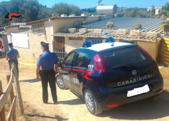 Francofonte. Smaltiva i resti di un cavallo nelle vie del centro: denunciato un 72enne