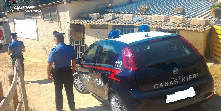 Francofonte. Smaltiva i resti di un cavallo nelle vie del centro: denunciato un 72enne