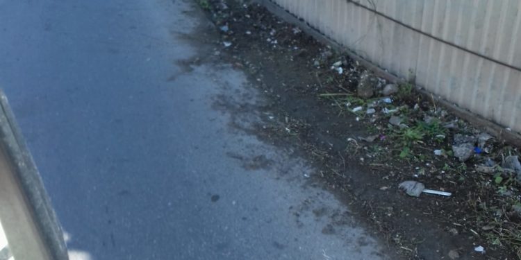 Siracusa. Interventi di bonifica e diserbo a seguito delle segnalazioni dei consiglieri Buonomo e Costantino