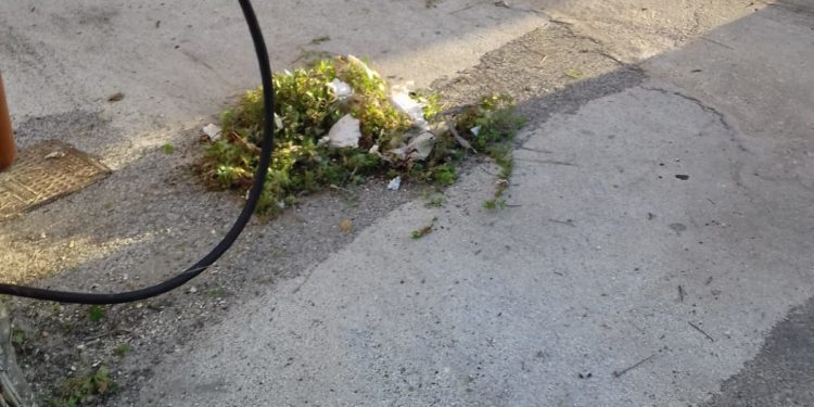 Siracusa. Interventi di bonifica e diserbo a seguito delle segnalazioni dei consiglieri Buonomo e Costantino