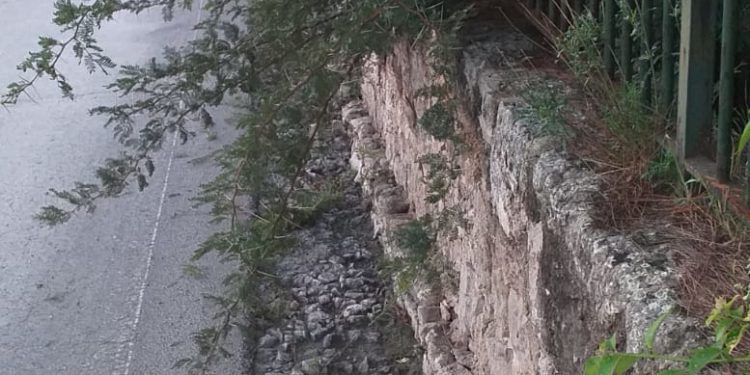 Siracusa. Interventi di bonifica e diserbo a seguito delle segnalazioni dei consiglieri Buonomo e Costantino