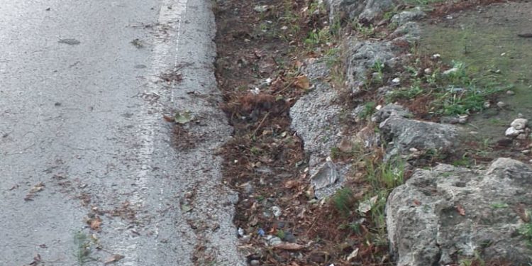 Siracusa. Interventi di bonifica e diserbo a seguito delle segnalazioni dei consiglieri Buonomo e Costantino