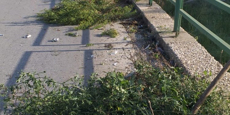 Siracusa. Interventi di bonifica e diserbo a seguito delle segnalazioni dei consiglieri Buonomo e Costantino