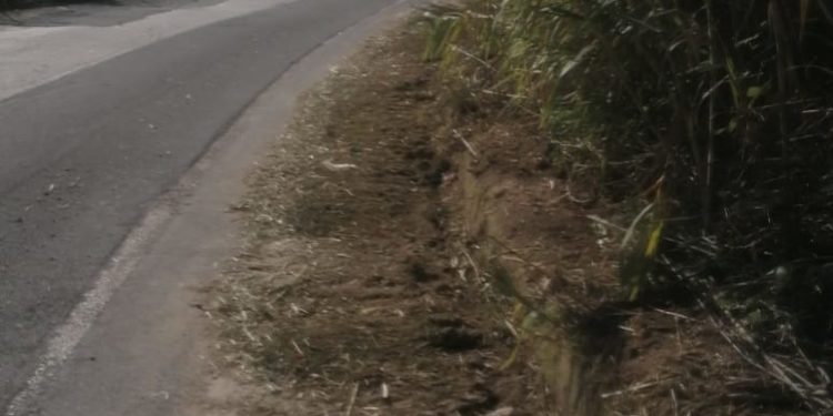 Siracusa. Proseguono le attività di diserbo in città, via Ascari fruibile per la commemorazione dei defunti