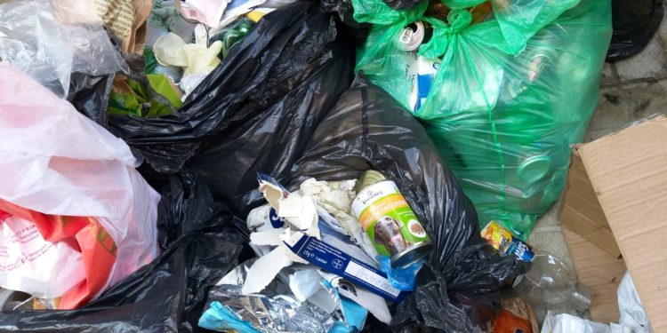 Siracusa. Lotta agli sporcaccioni, controlli e multe tra Piazza Adda e la Borgata