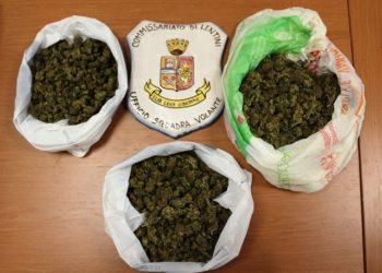 Lentini. Nascosti nel contatore dell’acqua quasi 200 grammi di marijuana